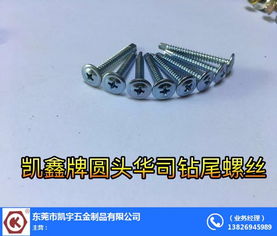 樹(shù)脂瓦專(zhuān)用螺絲 梅州螺絲 凱宇五金誠(chéng)信推薦
